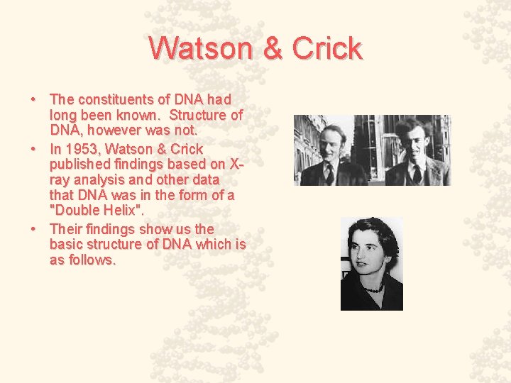 Watson & Crick • The constituents of DNA had long been known. Structure of