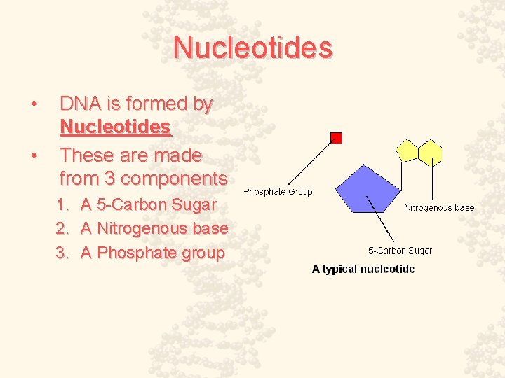 Nucleotides • • DNA is formed by Nucleotides These are made from 3 components