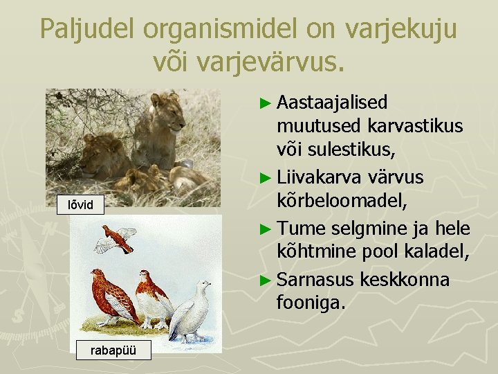 Paljudel organismidel on varjekuju või varjevärvus. ► Aastaajalised lõvid rabapüü muutused karvastikus või sulestikus, Paljudel organismidel on varjekuju või varjevärvus. ► Aastaajalised lõvid rabapüü muutused karvastikus või sulestikus,