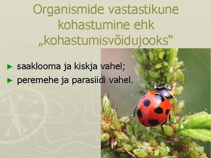 Organismide vastastikune kohastumine ehk „kohastumisvõidujooks“ saaklooma ja kiskja vahel; ► peremehe ja parasiidi vahel. Organismide vastastikune kohastumine ehk „kohastumisvõidujooks“ saaklooma ja kiskja vahel; ► peremehe ja parasiidi vahel.