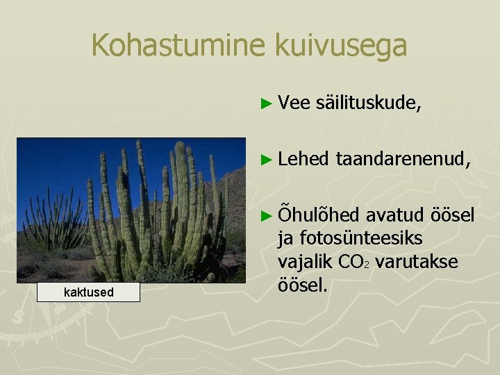 Kohastumine kuivusega ► Vee säilituskude, ► Lehed taandarenenud, ► Õhulõhed kaktused avatud öösel ja Kohastumine kuivusega ► Vee säilituskude, ► Lehed taandarenenud, ► Õhulõhed kaktused avatud öösel ja