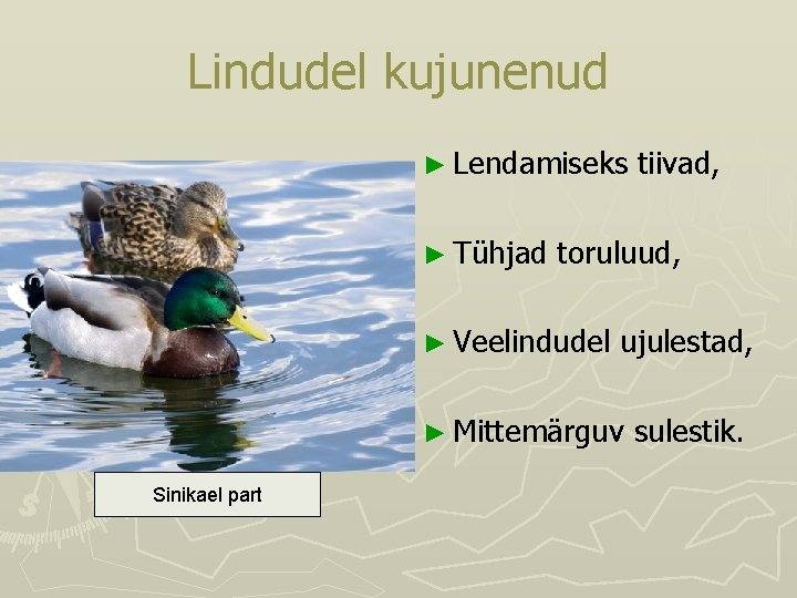 Lindudel kujunenud ► Lendamiseks ► Tühjad toruluud, ► Veelindudel ujulestad, ► Mittemärguv Sinikael part Lindudel kujunenud ► Lendamiseks ► Tühjad toruluud, ► Veelindudel ujulestad, ► Mittemärguv Sinikael part