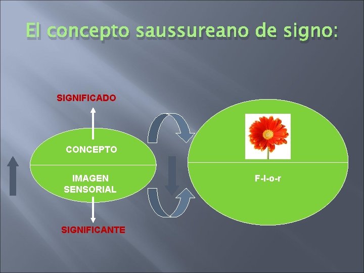 El concepto saussureano de signo: SIGNIFICADO CONCEPTO IMAGEN SENSORIAL SIGNIFICANTE F-l-o-r El concepto saussureano de signo: SIGNIFICADO CONCEPTO IMAGEN SENSORIAL SIGNIFICANTE F-l-o-r