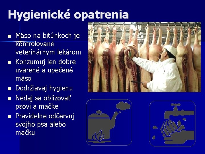 Hygienické opatrenia n n n Mäso na bitúnkoch je kontrolované veterinárnym lekárom Konzumuj len