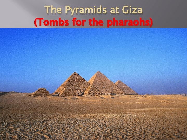 The Pyramids at Giza (Tombs for the pharaohs) 