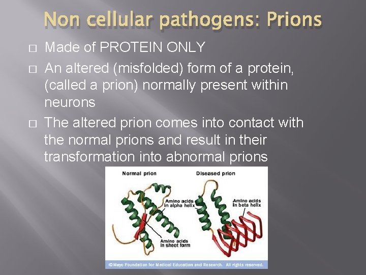 Non cellular pathogens: Prions � � � Made of PROTEIN ONLY An altered (misfolded) Non cellular pathogens: Prions � � � Made of PROTEIN ONLY An altered (misfolded)
