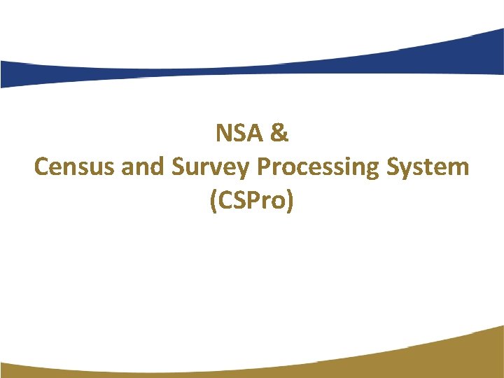 NSA & Census and Survey Processing System (CSPro) 