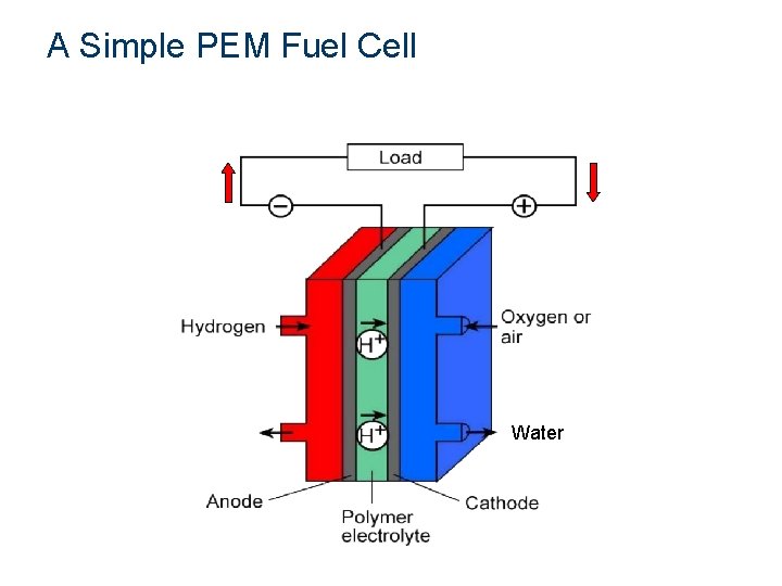 A Simple PEM Fuel Cell Hydrogen + Oxygen Electricity + Water A Simple PEM Fuel Cell Hydrogen + Oxygen Electricity + Water