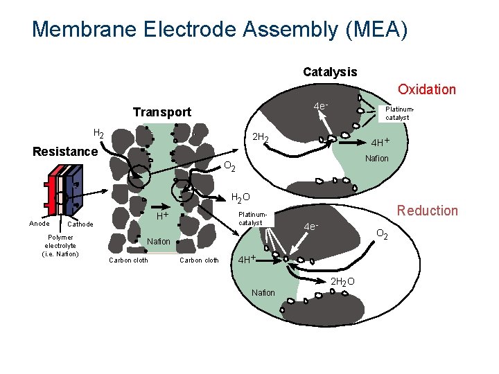 Membrane Electrode Assembly (MEA) Catalysis Oxidation 4 e - Transport H 2 Platinumcatalyst 2 Membrane Electrode Assembly (MEA) Catalysis Oxidation 4 e - Transport H 2 Platinumcatalyst 2