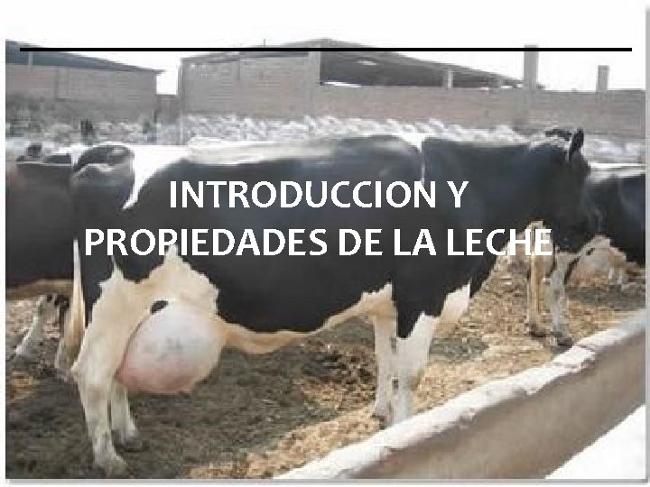 INTRODUCCION Y PROPIEDADES DE LA LECHE INTRODUCCION Y PROPIEDADES DE LA LECHE