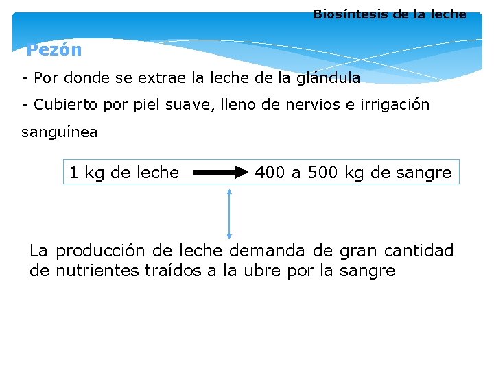 Biosíntesis de la leche Pezón - Por donde se extrae la leche de la Biosíntesis de la leche Pezón - Por donde se extrae la leche de la