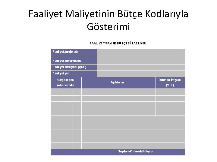 Faaliyet Maliyetinin Bütçe Kodlarıyla Gösterimi 