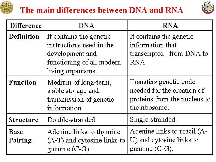 The main differences between DNA and RNA Difference DNA Definition It contains the genetic