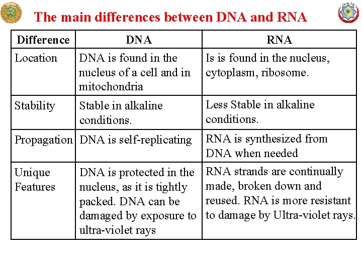 The main differences between DNA and RNA Difference DNA Location DNA is found in
