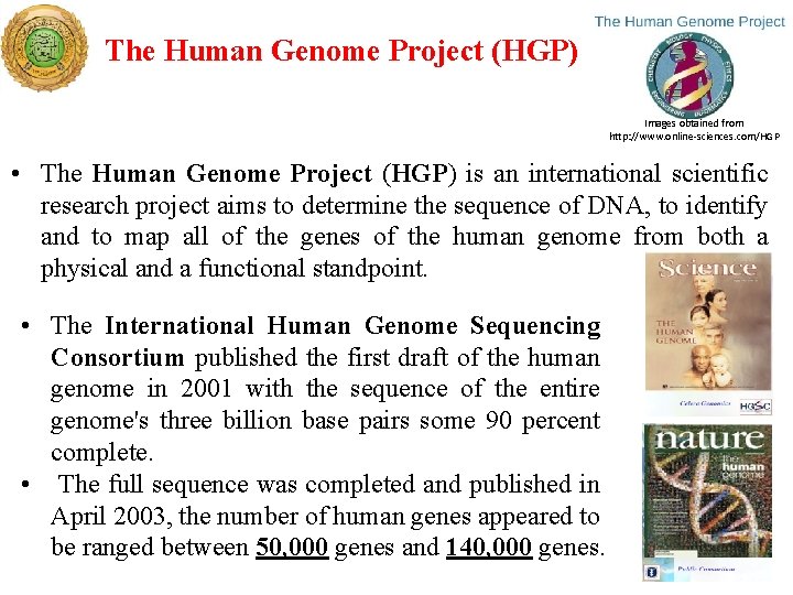 The Human Genome Project (HGP) Images obtained from http: //www. online-sciences. com/HGP • The