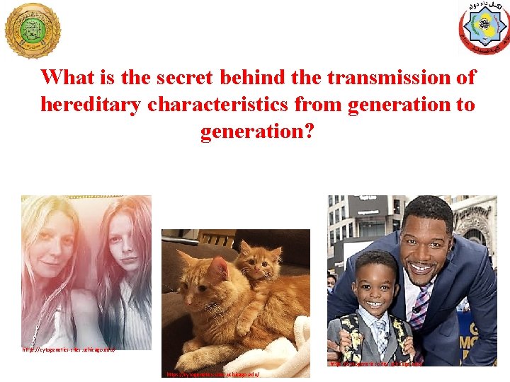 What is the secret behind the transmission of hereditary characteristics from generation to generation?
