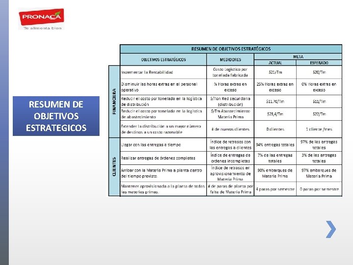 RESUMEN DE OBJETIVOS ESTRATEGICOS 