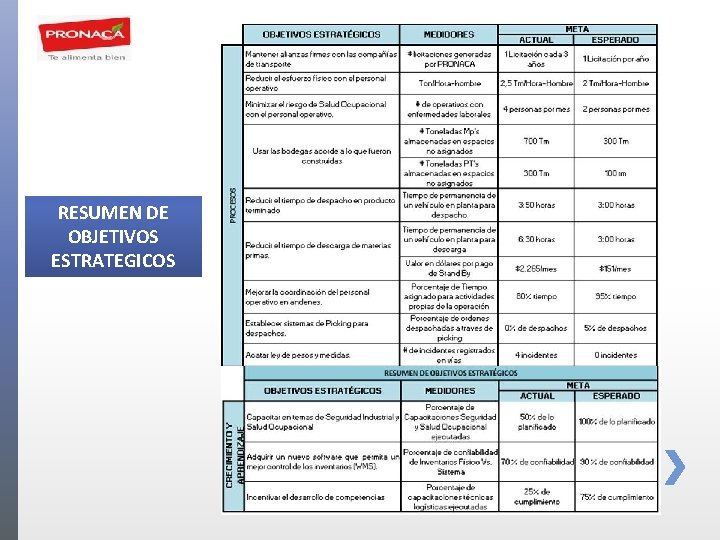 RESUMEN DE OBJETIVOS ESTRATEGICOS 