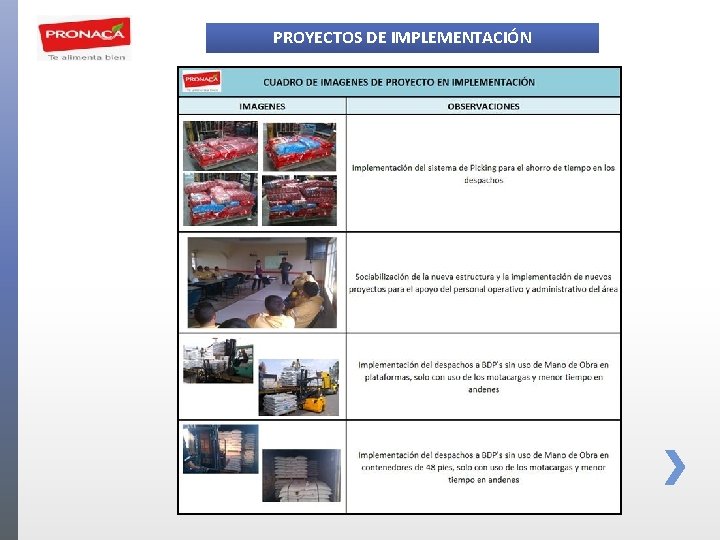 PROYECTOS DE IMPLEMENTACIÓN 