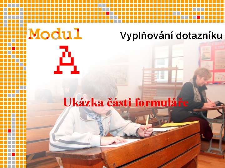 Vyplňování dotazníku Ukázka části formuláře 