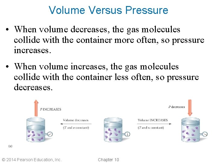 Volume Versus Pressure • When volume decreases, the gas molecules collide with the container