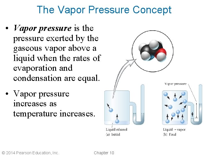 The Vapor Pressure Concept • Vapor pressure is the pressure exerted by the gaseous