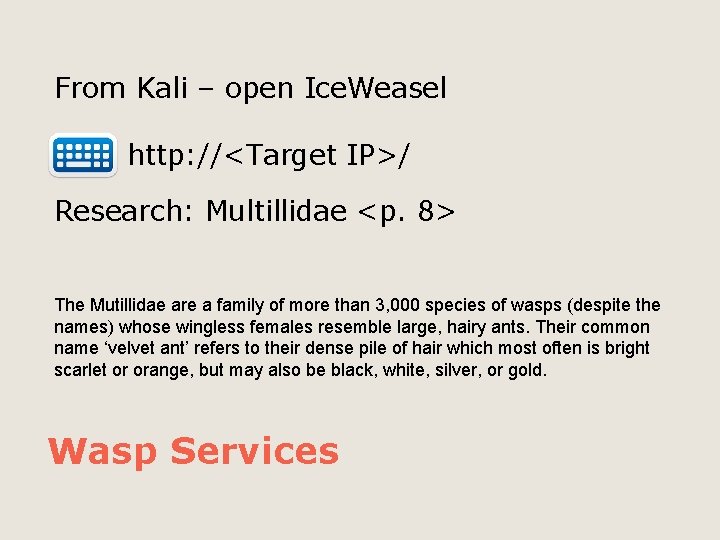 From Kali – open Ice. Weasel http: //<Target IP>/ Research: Multillidae <p. 8> The