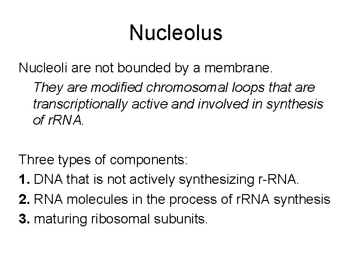 Nucleolus Nucleoli are not bounded by a membrane. They are modified chromosomal loops that