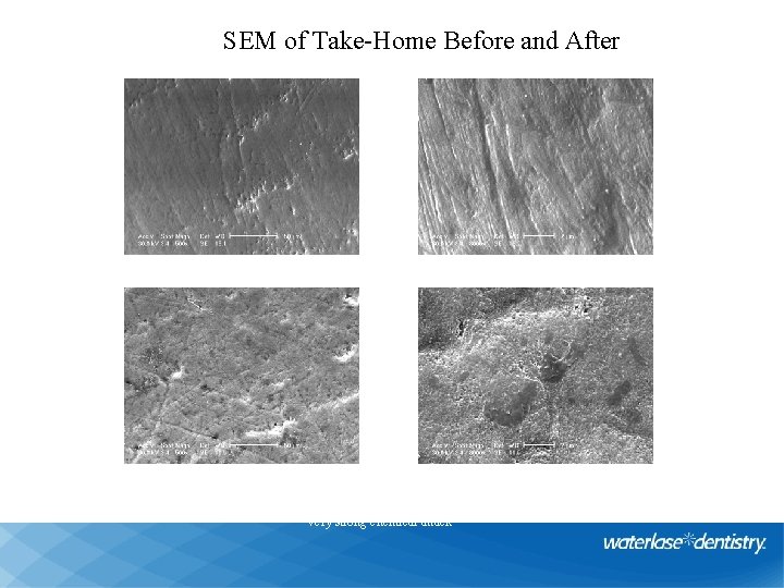 Pola Office SEM of Take-Home Before and After 35%; je (8 x 30 sec.