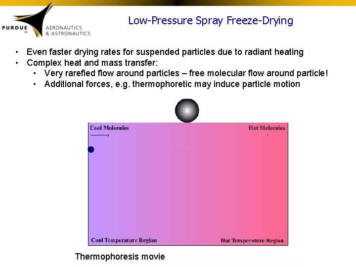 Low-Pressure Spray Freeze-Drying • Even faster drying rates for suspended particles due to radiant