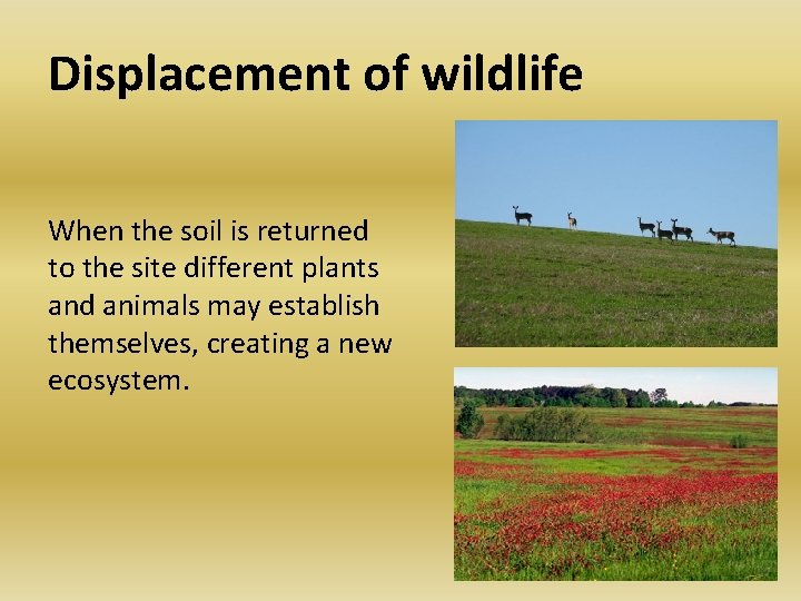 Displacement of wildlife When the soil is returned to the site different plants and