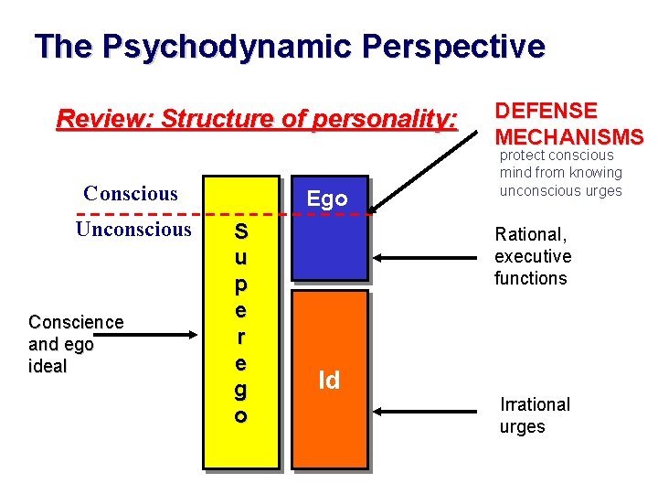 The Psychodynamic Perspective Review: Structure of personality: Conscious Unconscious Conscience and ego ideal Ego