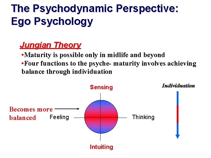 The Psychodynamic Perspective: Ego Psychology Jungian Theory • Maturity is possible only in midlife