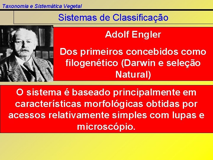 Taxonomia e Sistemática Vegetal Sistemas de Classificação Adolf Engler Dos primeiros concebidos como filogenético