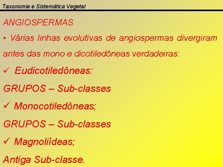 Taxonomia e Sistemática Vegetal ANGIOSPERMAS • Várias linhas evolutivas de angiospermas divergiram antes das