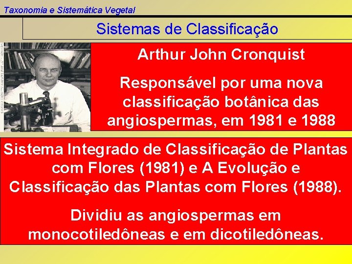 Taxonomia e Sistemática Vegetal Sistemas de Classificação Arthur John Cronquist Responsável por uma nova