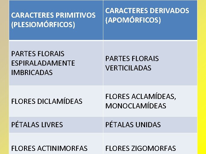 CARACTERES PRIMITIVOS (PLESIOMÓRFICOS) CARACTERES DERIVADOS (APOMÓRFICOS) PARTES FLORAIS ESPIRALADAMENTE IMBRICADAS PARTES FLORAIS VERTICILADAS FLORES