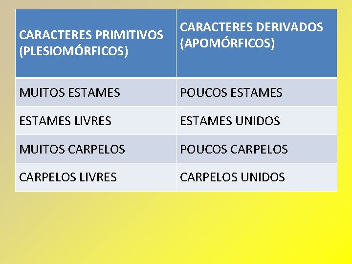 CARACTERES PRIMITIVOS (PLESIOMÓRFICOS) CARACTERES DERIVADOS (APOMÓRFICOS) MUITOS ESTAMES POUCOS ESTAMES LIVRES ESTAMES UNIDOS MUITOS