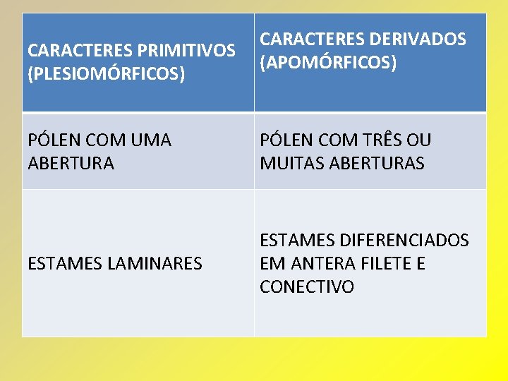 CARACTERES PRIMITIVOS (PLESIOMÓRFICOS) CARACTERES DERIVADOS (APOMÓRFICOS) PÓLEN COM UMA ABERTURA PÓLEN COM TRÊS OU