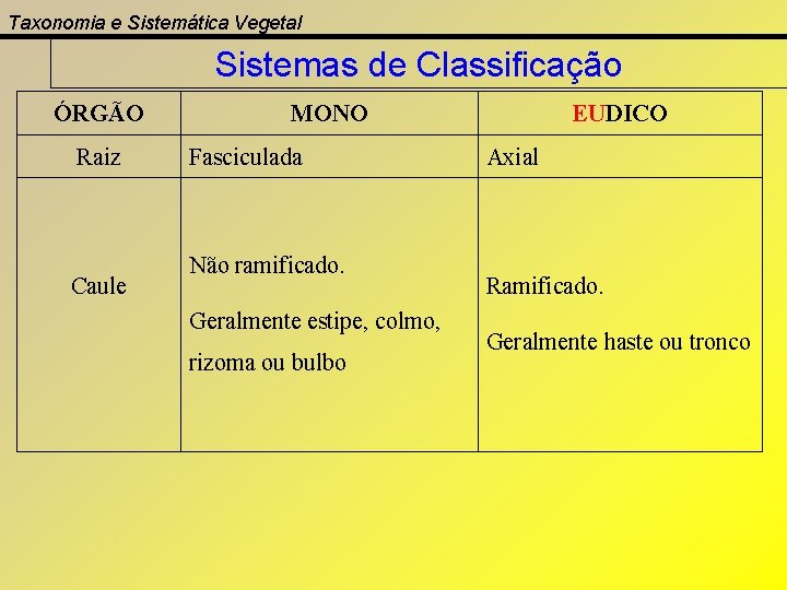 Taxonomia e Sistemática Vegetal Sistemas de Classificação ÓRGÃO Raiz Caule MONO Fasciculada Não ramificado.