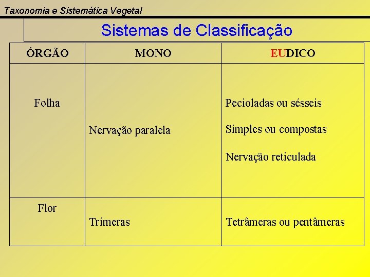 Taxonomia e Sistemática Vegetal Sistemas de Classificação ÓRGÃO MONO Folha EUDICO Pecioladas ou sésseis