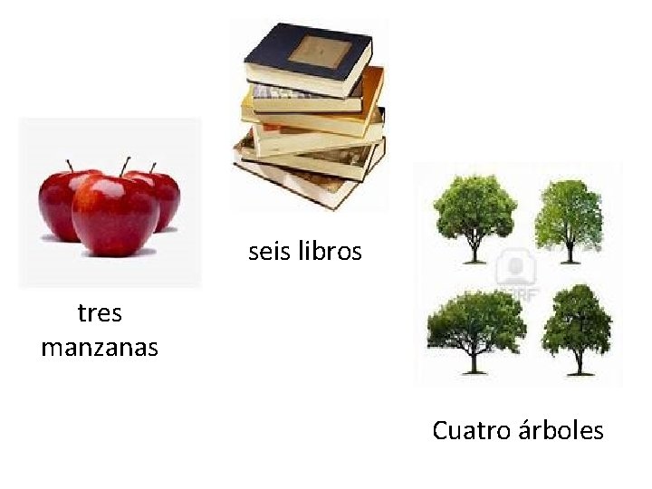 seis libros tres manzanas Cuatro árboles 