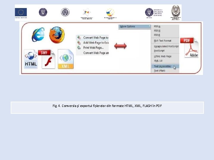 Fig. 4. Conversia şi exportul fișierelor din formate HTML, XML, FLASH în PDF 