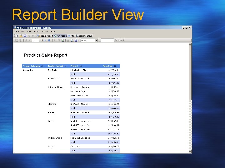 Report Builder View 