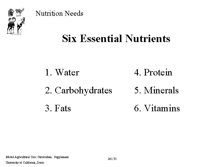 Nutrition Needs Six Essential Nutrients 1. Water 4. Protein 2. Carbohydrates 5. Minerals 3.