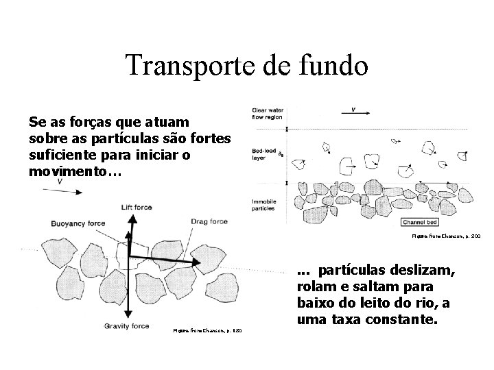 Transporte de fundo Se as forças que atuam sobre as partículas são fortes suficiente