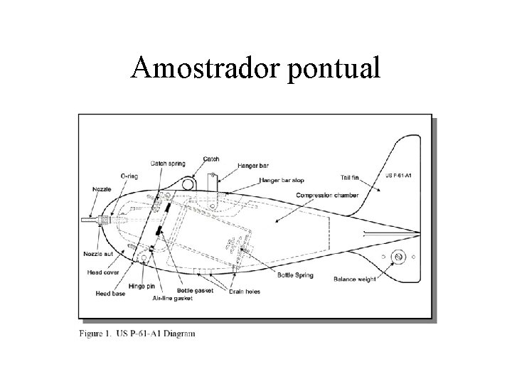 Amostrador pontual 