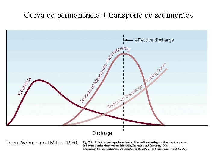 Curva de permanencia + transporte de sedimentos 
