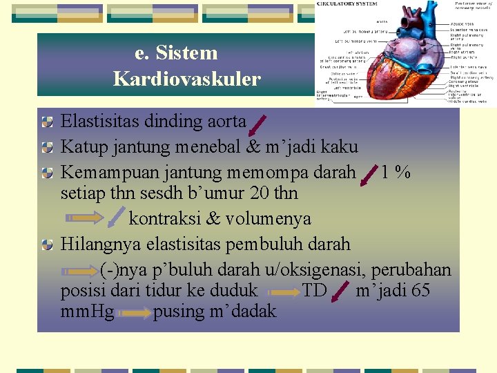 e. Sistem Kardiovaskuler Elastisitas dinding aorta Katup jantung menebal & m’jadi kaku Kemampuan jantung