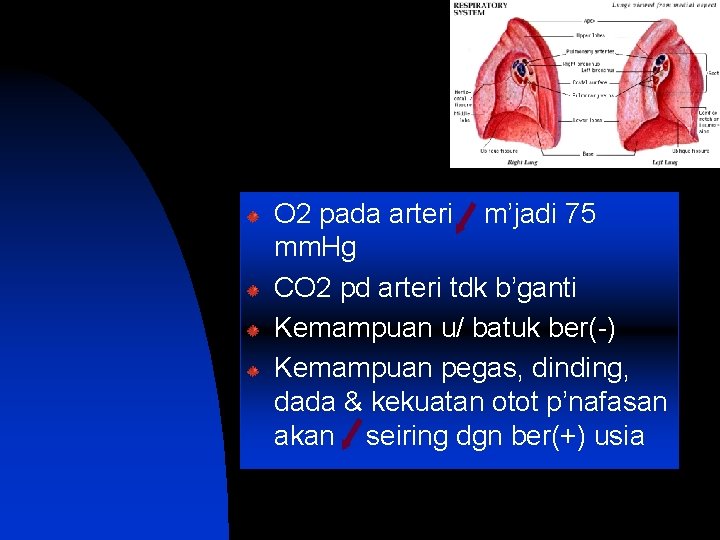 O 2 pada arteri m’jadi 75 mm. Hg CO 2 pd arteri tdk b’ganti